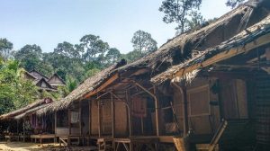 22717-suku-baduy-43840739